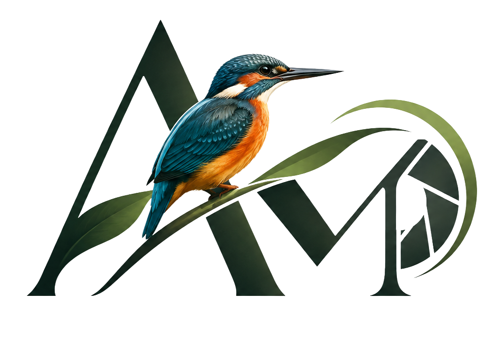 Antonius Mak — kingfisher AM logo